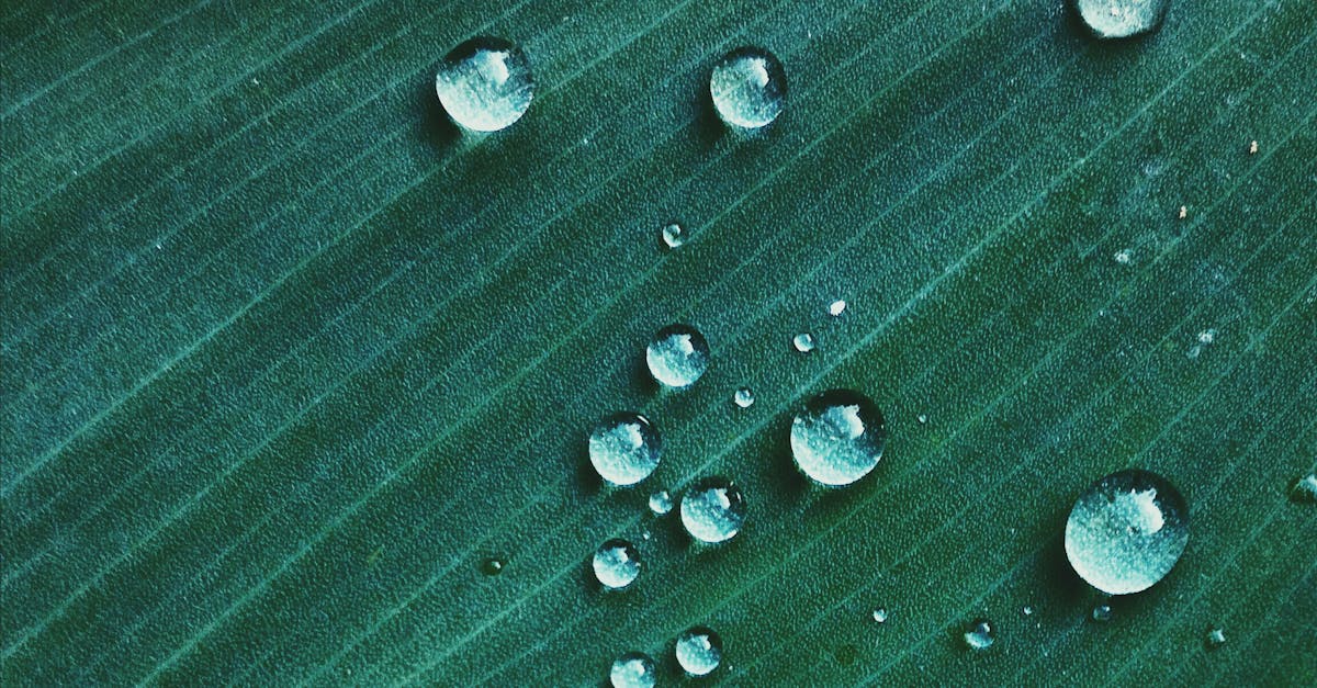 découvrez le monde des micro-entreprises, un modèle entrepreneurial accessible et flexible qui permet de lancer votre activité avec un investissement minimal. apprenez les avantages, les démarches administratives et les clés du succès pour réussir en tant que micro-entrepreneur.