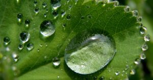 découvrez tout ce qu'il faut savoir sur la micro-entreprise : avantages, démarches administratives, conseils pratiques pour bien débuter et réussir dans votre activité indépendante.